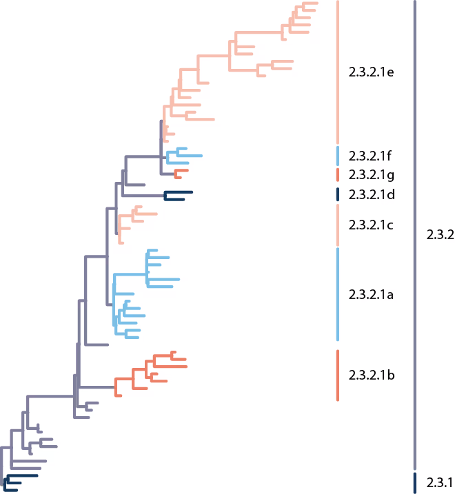 BIOTIA-DX Influenza bioinformatic report visualization