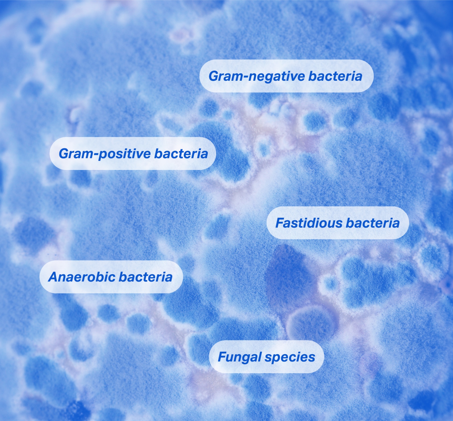 Types of pathogens detected: gram-negative, gram-positive, fastidious, anaerobic bacteria, and fungal species